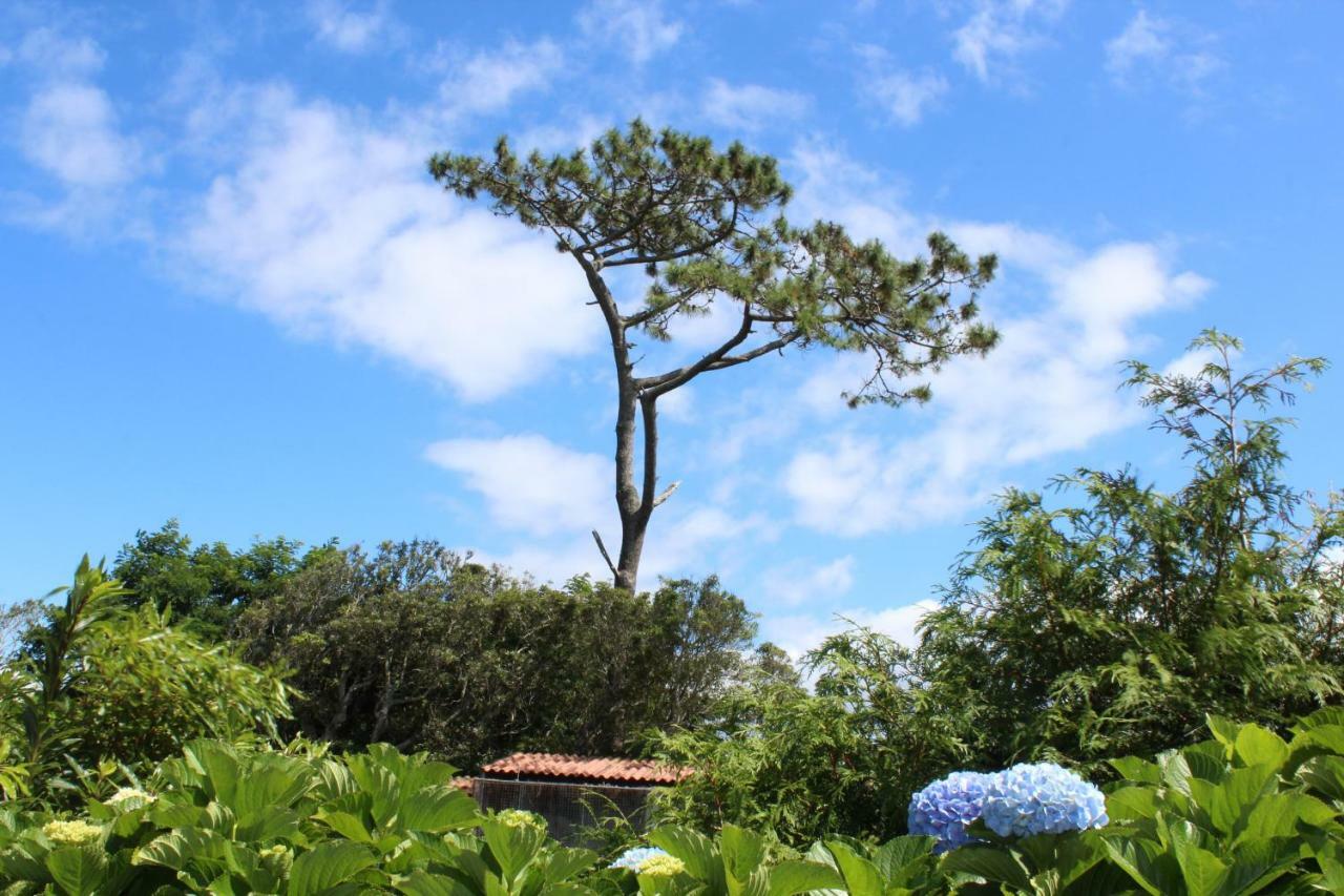 Quinta Do Torreao Villa Капелас Екстериор снимка